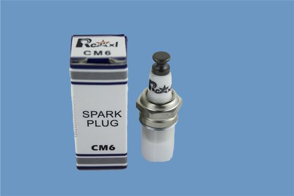 UFP170 CM6 The spark plug